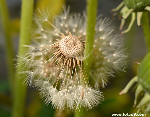 梦见刚死去的亲人穿袜子,解梦梦见刚死去的亲人穿袜子 梦见刚死去的亲人穿袜子,解梦梦见刚死去的亲人穿袜子