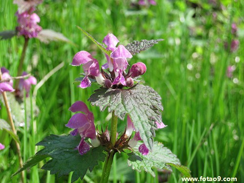 梦见生日数钱,解梦梦见生日数钱 梦见生日数钱,解梦梦见生日数钱