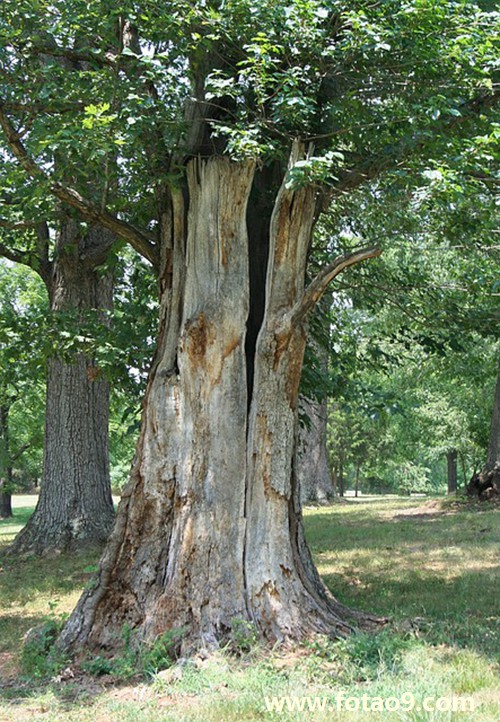 梦见搬入新家有死人,解梦梦见搬入新家有死人 梦见搬入新家有死人,解梦梦见搬入新家有死人