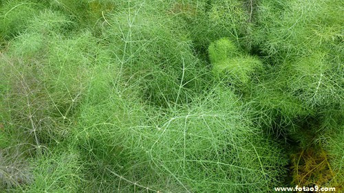 梦见在火车站行李被偷了,解梦梦见在火车站行李被偷了 梦见在火车站行李被偷了,解梦梦见在火车站行李被偷了