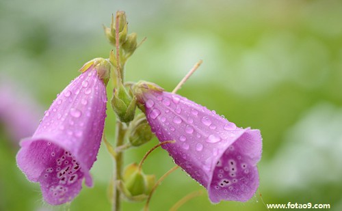 梦见跟闺蜜男朋友偷情,解梦梦见跟闺蜜男朋友偷情 梦见跟闺蜜男朋友偷情,解梦梦见跟闺蜜男朋友偷情