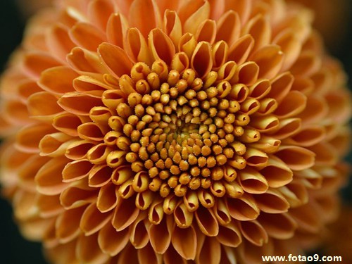 梦见黄河阻我去路,解梦梦见黄河阻我去路 梦见黄河阻我去路,解梦梦见黄河阻我去路