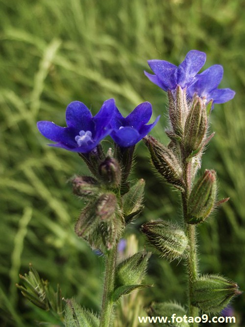 梦见墙纸被揭掉,解梦梦见墙纸被揭掉 梦见墙纸被揭掉,解梦梦见墙纸被揭掉