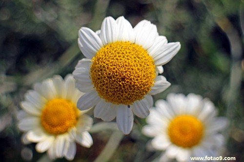 梦见买了一辆黑色宝马车,解梦梦见买了一辆黑色宝马车 梦见买了一辆黑色宝马车,解梦梦见买了一辆黑色宝马车