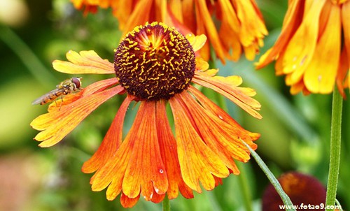 梦见刀架在脖子,解梦梦见刀架在脖子 梦见刀架在脖子,解梦梦见刀架在脖子