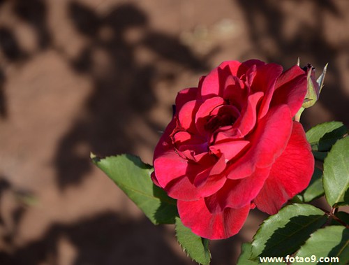 梦见站在石头上被水困住,解梦梦见站在石头上被水困住 梦见站在石头上被水困住,解梦梦见站在石头上被水困住