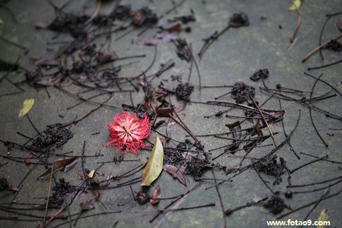 梦见驴拴在屋子里,解梦梦见驴拴在屋子里 梦见驴拴在屋子里,解梦梦见驴拴在屋子里