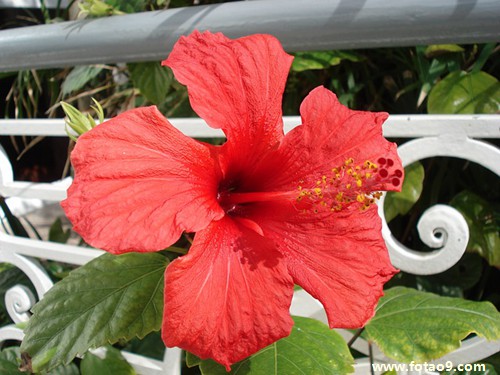 梦见得白血病快死了,解梦梦见得白血病快死了 梦见得白血病快死了,解梦梦见得白血病快死了