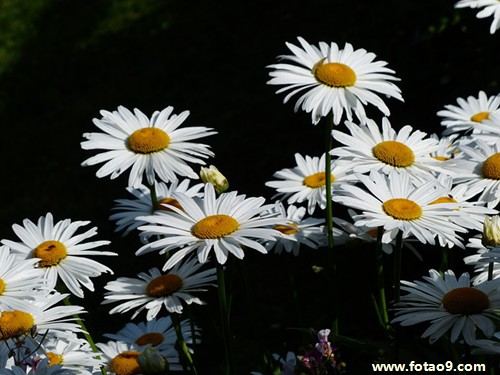 梦见过世的姥爷肚子饿,解梦梦见过世的姥爷肚子饿 梦见过世的姥爷肚子饿,解梦梦见过世的姥爷肚子饿