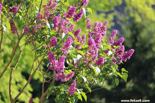 梦见鱼塘水涨,解梦梦见鱼塘水涨 梦见鱼塘水涨,解梦梦见鱼塘水涨