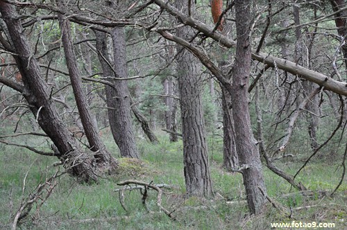 梦见和父亲一起划船,解梦梦见和父亲一起划船 梦见和父亲一起划船,解梦梦见和父亲一起划船