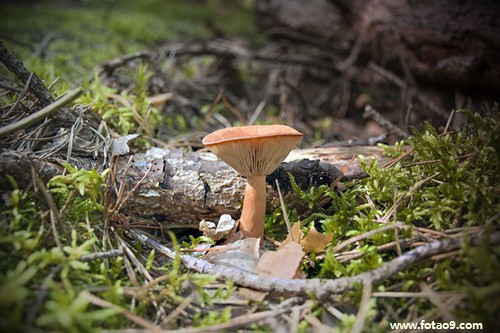 梦见儿子长高长帅了,解梦梦见儿子长高长帅了 梦见儿子长高长帅了,解梦梦见儿子长高长帅了