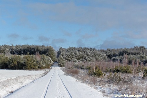 孕妇梦见吃大蟒蛇,解梦孕妇梦见吃大蟒蛇 孕妇梦见吃大蟒蛇,解梦孕妇梦见吃大蟒蛇