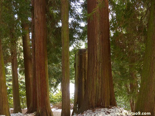 梦见有人给我看说时间不多了,解梦梦见有人给我看说时间不多了 梦见有人给我看说时间不多了,解梦梦见有人给我看说时间不多了