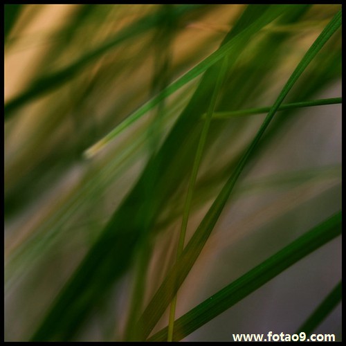 梦见老公公和小叔子死,解梦梦见老公公和小叔子死 梦见老公公和小叔子死,解梦梦见老公公和小叔子死