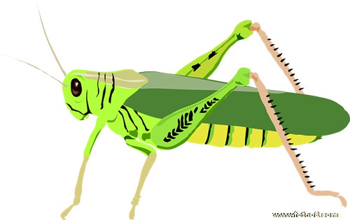 梦见捡到两个小白兔,解梦梦见捡到两个小白兔 梦见捡到两个小白兔,解梦梦见捡到两个小白兔