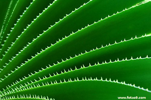 梦见戴银链,解梦梦见戴银链 梦见戴银链,解梦梦见戴银链