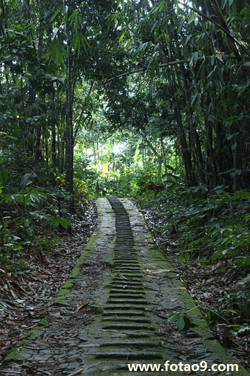 梦见给别人夹鱼尾,解梦梦见给别人夹鱼尾 梦见给别人夹鱼尾,解梦梦见给别人夹鱼尾