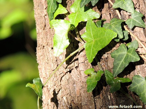 梦见老公在外面过的不好,解梦梦见老公在外面过的不好 梦见老公在外面过的不好,解梦梦见老公在外面过的不好