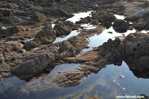 梦见偷渡香港,解梦梦见偷渡香港 梦见偷渡香港,解梦梦见偷渡香港