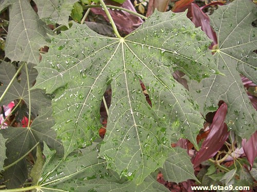 梦见封闭,解梦梦见封闭 梦见封闭,解梦梦见封闭