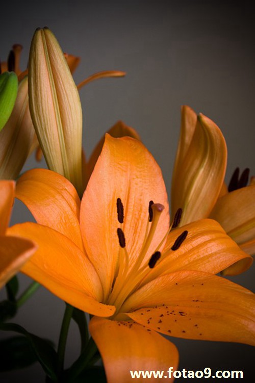 梦见了与几个朋友进酒吧,解梦梦见了与几个朋友进酒吧 梦见了与几个朋友进酒吧,解梦梦见了与几个朋友进酒吧