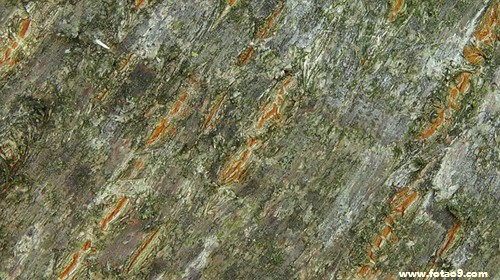 梦见自己嫁给了陌生人,解梦梦见自己嫁给了陌生人 梦见自己嫁给了陌生人,解梦梦见自己嫁给了陌生人