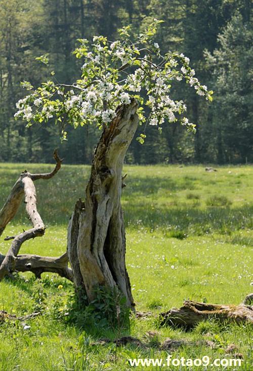 梦见手机被下载东西,解梦梦见手机被下载东西 梦见手机被下载东西,解梦梦见手机被下载东西