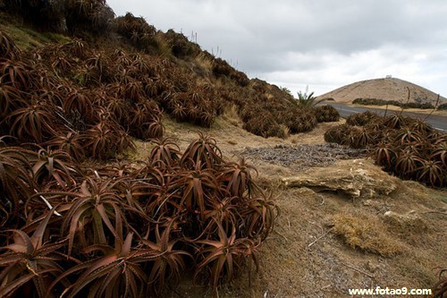 梦见女同事之间吵架,解梦梦见女同事之间吵架 梦见女同事之间吵架,解梦梦见女同事之间吵架