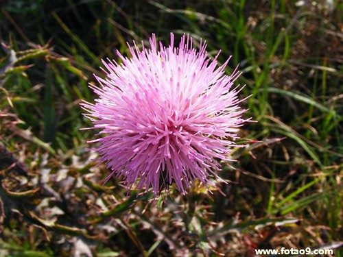梦见全英文考试,解梦梦见全英文考试 梦见全英文考试,解梦梦见全英文考试