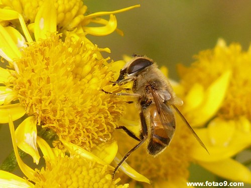 梦见湖里面很多水,解梦梦见湖里面很多水 梦见湖里面很多水,解梦梦见湖里面很多水
