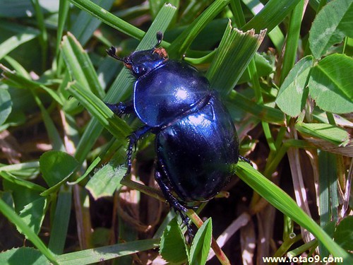 梦见新婚之夜是处女处男,解梦梦见新婚之夜是处女处男 梦见新婚之夜是处女处男,解梦梦见新婚之夜是处女处男