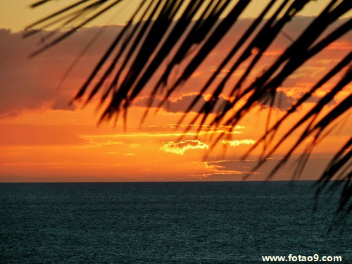 梦见骑车跟发小出去吃饭,解梦梦见骑车跟发小出去吃饭 梦见骑车跟发小出去吃饭,解梦梦见骑车跟发小出去吃饭