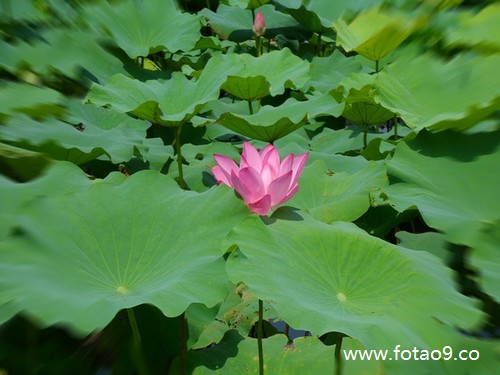 梦见相亲对象但是没说话,解梦梦见相亲对象但是没说话 梦见相亲对象但是没说话,解梦梦见相亲对象但是没说话