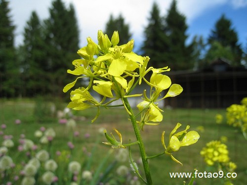 梦见着火狂风暴雨突房屋倒塌,解梦梦见着火狂风暴雨突房屋倒塌 梦见着火狂风暴雨突房屋倒塌,解梦梦见着火狂风暴雨突房屋倒塌
