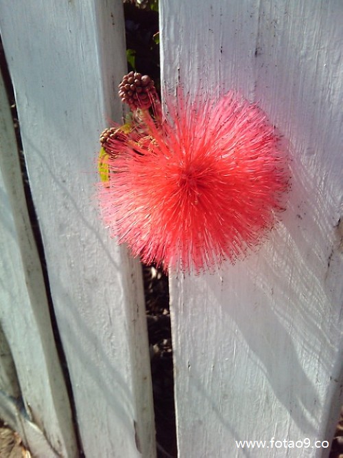 梦见茅草屋被烧,解梦梦见茅草屋被烧 梦见茅草屋被烧,解梦梦见茅草屋被烧