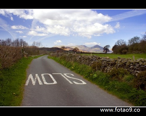 梦见开行车摆钓子摆的历害,解梦梦见开行车摆钓子摆的历害 梦见开行车摆钓子摆的历害,解梦梦见开行车摆钓子摆的历害