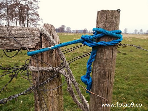 梦见被别人陷害被警察追捕,解梦梦见被别人陷害被警察追捕 梦见被别人陷害被警察追捕,解梦梦见被别人陷害被警察追捕