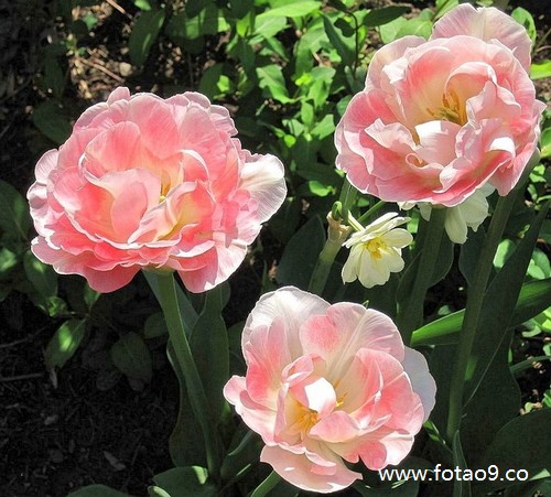 梦见衣服被火炉烫坏,解梦梦见衣服被火炉烫坏 梦见衣服被火炉烫坏,解梦梦见衣服被火炉烫坏