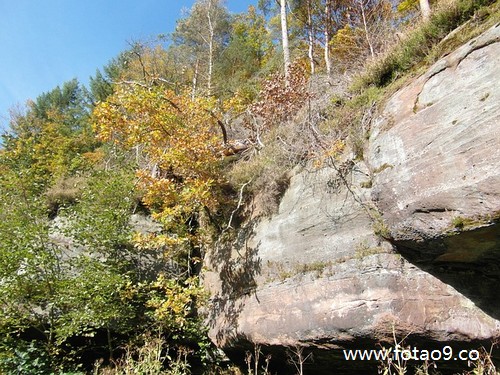 梦见别人孩子流产了,解梦梦见别人孩子流产了 梦见别人孩子流产了,解梦梦见别人孩子流产了