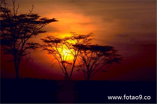 梦见肚子开了个大口子又缝上了,解梦梦见肚子开了个大口子又缝上了 梦见肚子开了个大口子又缝上了,解梦梦见肚子开了个大口子又缝上了