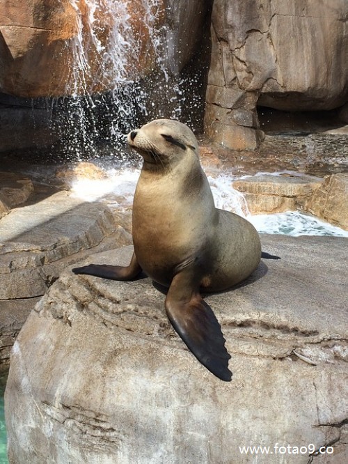 梦见偷偷牵绳子一层一层楼跳楼,解梦梦见偷偷牵绳子一层一层楼跳楼 梦见偷偷牵绳子一层一层楼跳楼,解梦梦见偷偷牵绳子一层一层楼跳楼