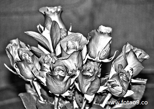 梦见住进精神医院的亲人回来,解梦梦见住进精神医院的亲人回来 梦见住进精神医院的亲人回来,解梦梦见住进精神医院的亲人回来