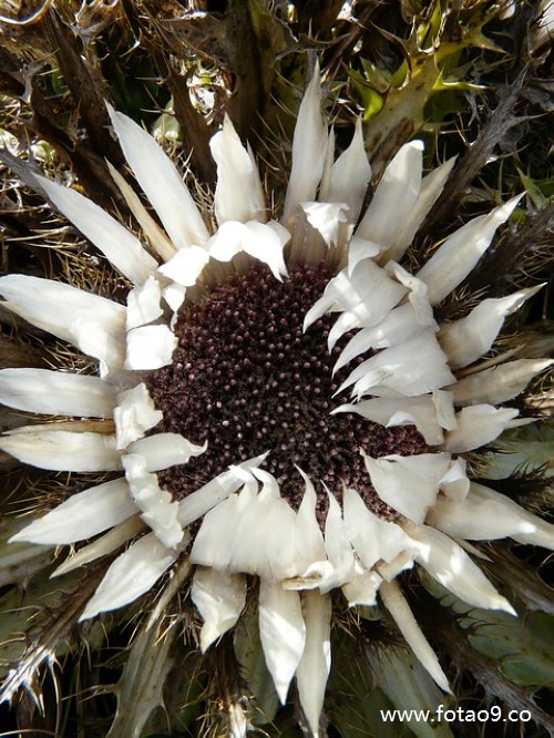 梦见和妈妈在夜里说话,解梦梦见和妈妈在夜里说话 梦见和妈妈在夜里说话,解梦梦见和妈妈在夜里说话