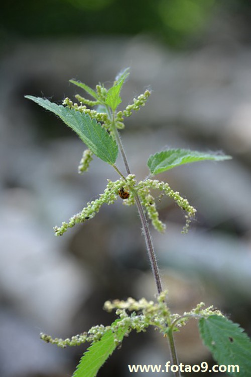 梦见身穿白色连衣裙,解梦梦见身穿白色连衣裙 梦见身穿白色连衣裙,解梦梦见身穿白色连衣裙