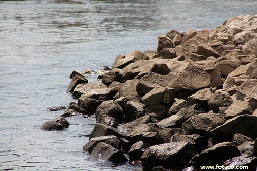 梦见和人家看电影,解梦梦见和人家看电影 梦见和人家看电影,解梦梦见和人家看电影
