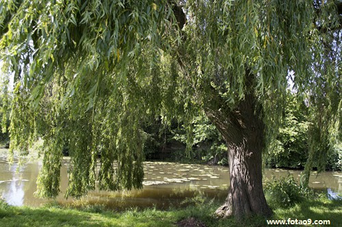 梦见大姨妈突然来弄到衣服上,解梦梦见大姨妈突然来弄到衣服上 梦见大姨妈突然来弄到衣服上,解梦梦见大姨妈突然来弄到衣服上