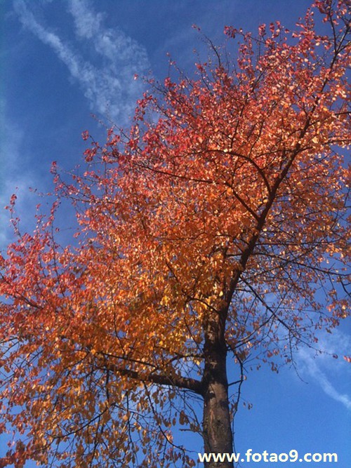 梦见自己姐姐摔死又活了,解梦梦见自己姐姐摔死又活了 梦见自己姐姐摔死又活了,解梦梦见自己姐姐摔死又活了