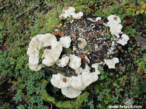 梦见和男朋友在海边玩泥石流,解梦梦见和男朋友在海边玩泥石流 梦见和男朋友在海边玩泥石流,解梦梦见和男朋友在海边玩泥石流