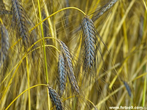 梦见与异性朋友旅游,解梦梦见与异性朋友旅游 梦见与异性朋友旅游,解梦梦见与异性朋友旅游